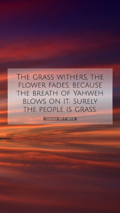 Picture 07 - Isaiah 40:7 WEB Mobile Phone Wallpaper - The grass withers, the flower fades, because the - Mobile Bible Verse Wallpaper