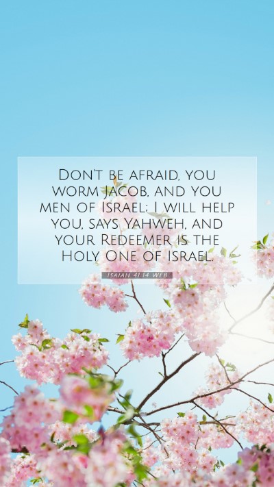 Picture 07 - Isaiah 41:14 WEB Mobile Phone Wallpaper - Don't be afraid, you worm Jacob, and you men of - Mobile Bible Verse Wallpaper