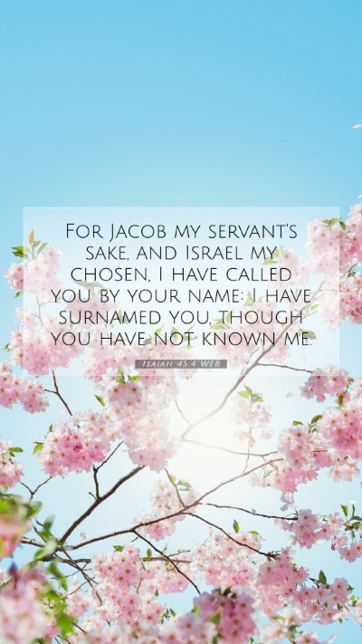 Picture 07 - Isaiah 45:4 WEB Mobile Phone Wallpaper - For Jacob my servant's sake, and Israel my - Mobile Bible Verse Wallpaper