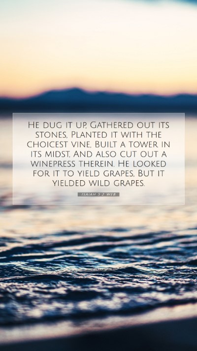 Picture 07 - Isaiah 5:2 WEB Mobile Phone Wallpaper - He dug it up, Gathered out its stones, Planted it - Mobile Bible Verse Wallpaper