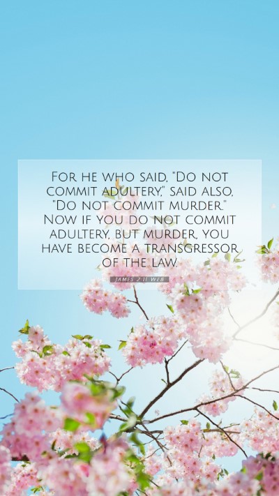 Picture 07 - James 2:11 WEB Mobile Phone Wallpaper - For he who said, 