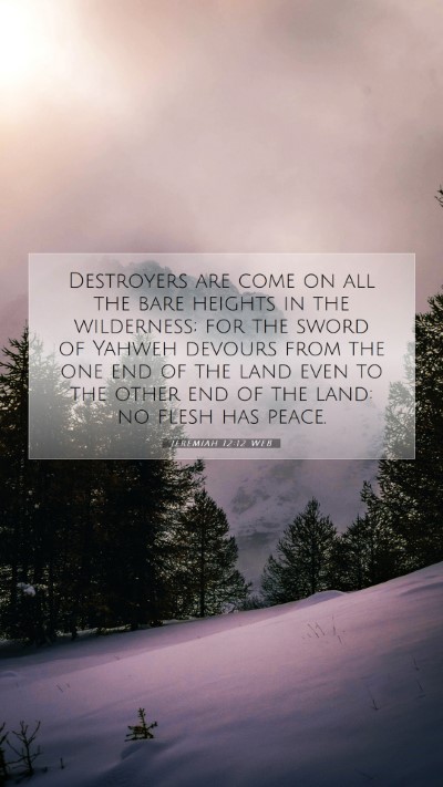 Picture 07 - Jeremiah 12:12 WEB Mobile Phone Wallpaper - Destroyers are come on all the bare heights in - Mobile Bible Verse Wallpaper
