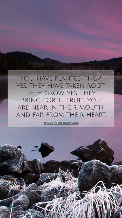 Picture 07 - Jeremiah 12:2 WEB Mobile Phone Wallpaper - You have planted them, yes, they have taken root; - Mobile Bible Verse Wallpaper