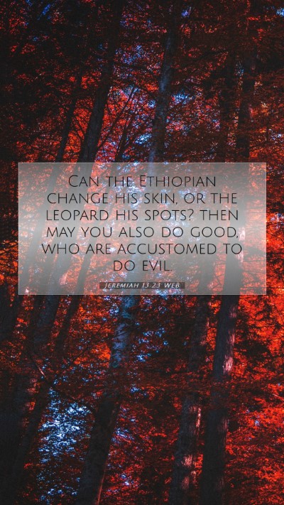 Picture 07 - Jeremiah 13:23 WEB Mobile Phone Wallpaper - Can the Ethiopian change his skin, or the leopard - Mobile Bible Verse Wallpaper