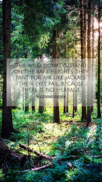 Picture 07 - Jeremiah 14:6 WEB Mobile Phone Wallpaper - The wild donkeys stand on the bare heights, they - Mobile Bible Verse Wallpaper