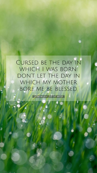 Picture 07 - Jeremiah 20:14 WEB Mobile Phone Wallpaper - Cursed be the day in which I was born: don't let - Mobile Bible Verse Wallpaper