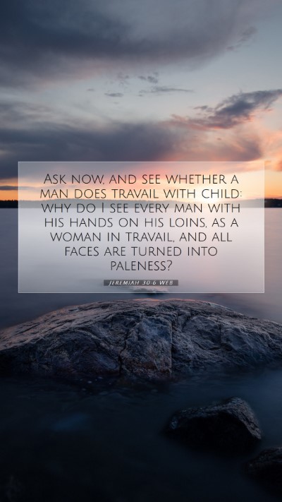 Picture 07 - Jeremiah 30:6 WEB Mobile Phone Wallpaper - Ask now, and see whether a man does travail with - Mobile Bible Verse Wallpaper