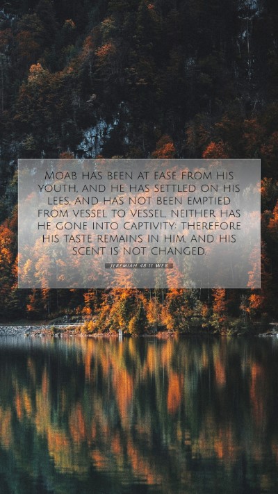 Picture 07 - Jeremiah 48:11 WEB Mobile Phone Wallpaper - Moab has been at ease from his youth, and he has - Mobile Bible Verse Wallpaper