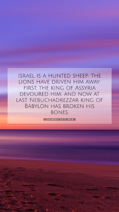Picture 07 - Jeremiah 50:17 WEB Mobile Phone Wallpaper - Israel is a hunted sheep; the lions have driven - Mobile Bible Verse Wallpaper