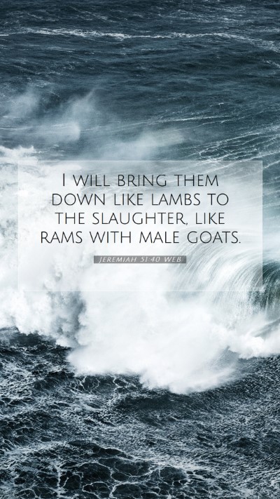 Picture 07 - Jeremiah 51:40 WEB Mobile Phone Wallpaper - I will bring them down like lambs to the - Mobile Bible Verse Wallpaper