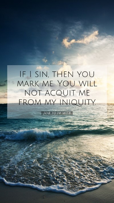 Picture 07 - Job 10:14 WEB Mobile Phone Wallpaper - If I sin, then you mark me. You will not acquit - Mobile Bible Verse Wallpaper