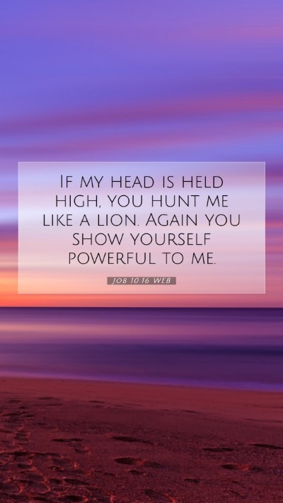 Picture 07 - Job 10:16 WEB Mobile Phone Wallpaper - If my head is held high, you hunt me like a lion. - Mobile Bible Verse Wallpaper
