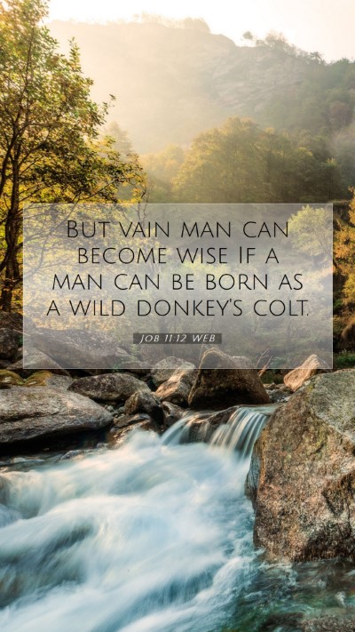 Picture 07 - Job 11:12 WEB Mobile Phone Wallpaper - But vain man can become wise If a man can be born - Mobile Bible Verse Wallpaper