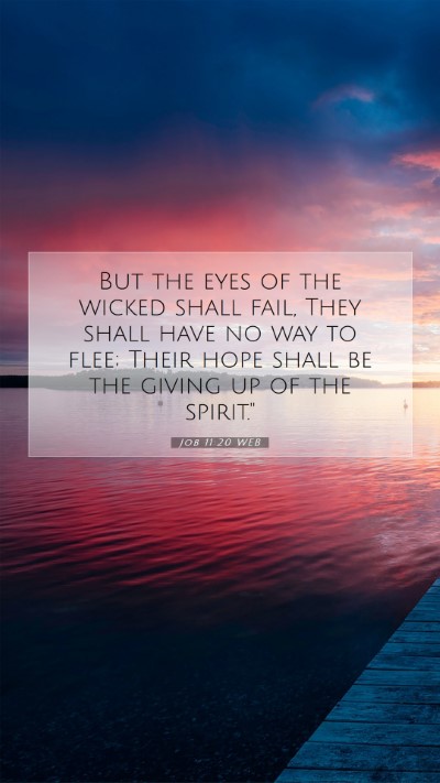 Picture 07 - Job 11:20 WEB Mobile Phone Wallpaper - But the eyes of the wicked shall fail, They shall - Mobile Bible Verse Wallpaper