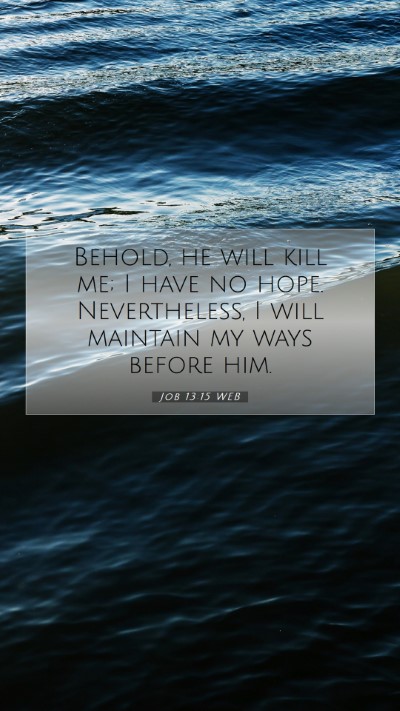 Picture 07 - Job 13:15 WEB Mobile Phone Wallpaper - Behold, he will kill me; I have no hope. - Mobile Bible Verse Wallpaper