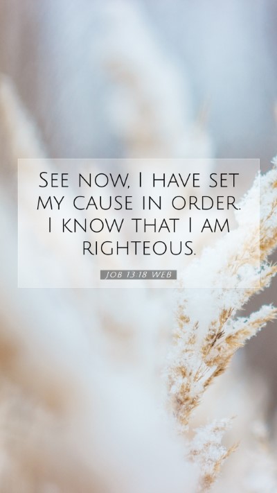 Picture 07 - Job 13:18 WEB Mobile Phone Wallpaper - See now, I have set my cause in order. I know - Mobile Bible Verse Wallpaper