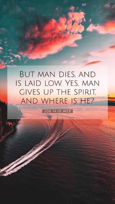 Picture 07 - Job 14:10 WEB Mobile Phone Wallpaper - But man dies, and is laid low. Yes, man gives up - Mobile Bible Verse Wallpaper