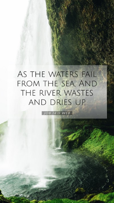 Picture 07 - Job 14:11 WEB Mobile Phone Wallpaper - As the waters fail from the sea, And the river - Mobile Bible Verse Wallpaper