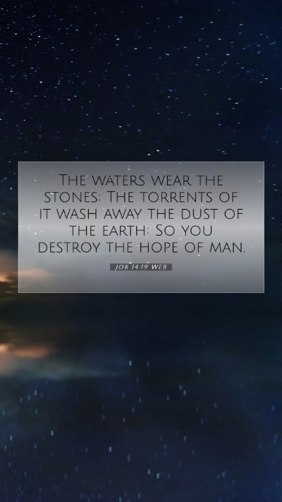 Picture 07 - Job 14:19 WEB Mobile Phone Wallpaper - The waters wear the stones; The torrents of it - Mobile Bible Verse Wallpaper