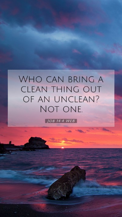 Picture 07 - Job 14:4 WEB Mobile Phone Wallpaper - Who can bring a clean thing out of an unclean? - Mobile Bible Verse Wallpaper