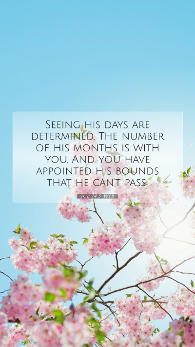 Picture 07 - Job 14:5 WEB Mobile Phone Wallpaper - Seeing his days are determined, The number of his - Mobile Bible Verse Wallpaper