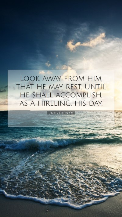 Picture 07 - Job 14:6 WEB Mobile Phone Wallpaper - Look away from him, that he may rest, Until he - Mobile Bible Verse Wallpaper