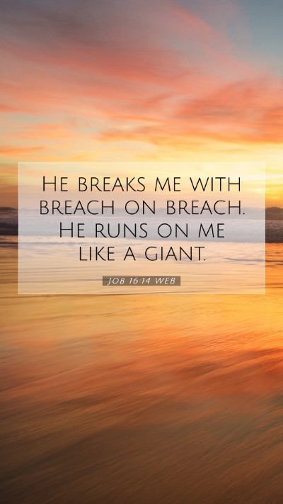 Picture 07 - Job 16:14 WEB Mobile Phone Wallpaper - He breaks me with breach on breach. He runs on me - Mobile Bible Verse Wallpaper