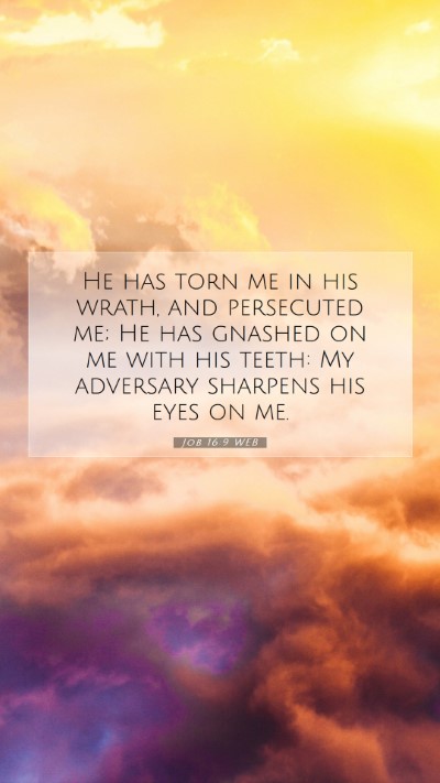 Picture 07 - Job 16:9 WEB Mobile Phone Wallpaper - He has torn me in his wrath, and persecuted me; - Mobile Bible Verse Wallpaper
