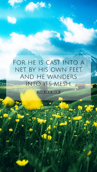 Picture 07 - Job 18:8 WEB Mobile Phone Wallpaper - For he is cast into a net by his own feet, And he - Mobile Bible Verse Wallpaper