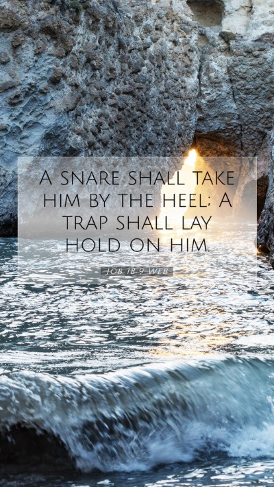 Picture 07 - Job 18:9 WEB Mobile Phone Wallpaper - A snare shall take him by the heel; A trap shall - Mobile Bible Verse Wallpaper