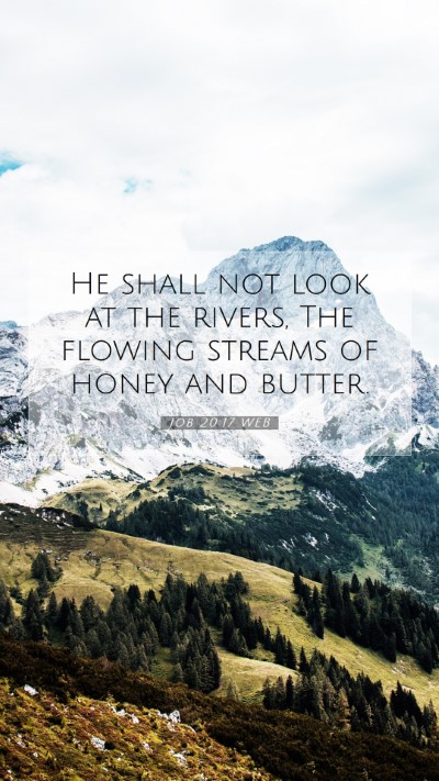 Picture 07 - Job 20:17 WEB Mobile Phone Wallpaper - He shall not look at the rivers, The flowing - Mobile Bible Verse Wallpaper