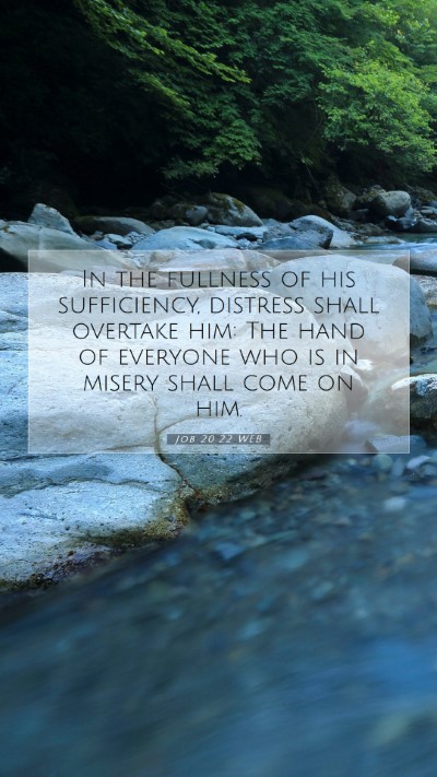 Picture 07 - Job 20:22 WEB Mobile Phone Wallpaper - In the fullness of his sufficiency, distress - Mobile Bible Verse Wallpaper