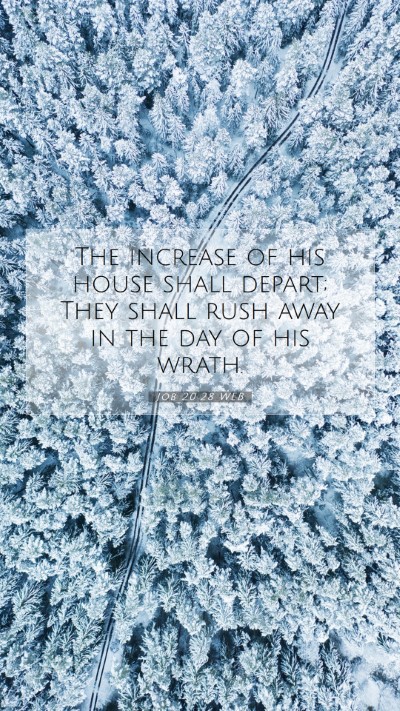 Picture 07 - Job 20:28 WEB Mobile Phone Wallpaper - The increase of his house shall depart; They - Mobile Bible Verse Wallpaper