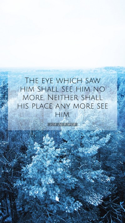 Picture 07 - Job 20:9 WEB Mobile Phone Wallpaper - The eye which saw him shall see him no more, - Mobile Bible Verse Wallpaper