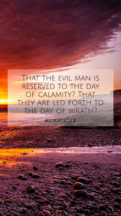 Picture 07 - Job 21:30 WEB Mobile Phone Wallpaper - That the evil man is reserved to the day of - Mobile Bible Verse Wallpaper