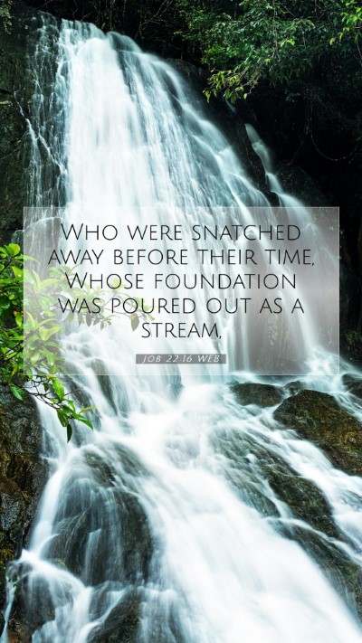 Picture 07 - Job 22:16 WEB Mobile Phone Wallpaper - Who were snatched away before their time, Whose - Mobile Bible Verse Wallpaper