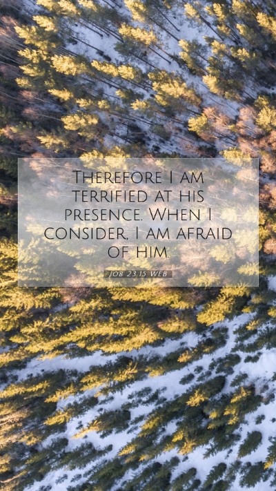 Picture 07 - Job 23:15 WEB Mobile Phone Wallpaper - Therefore I am terrified at his presence. When I - Mobile Bible Verse Wallpaper