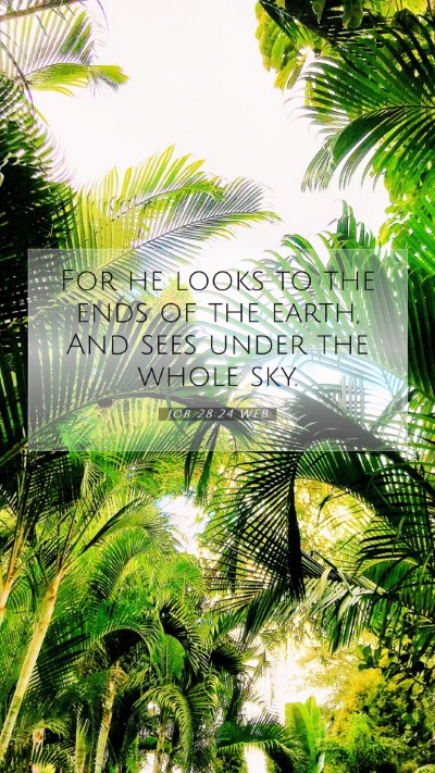 Picture 07 - Job 28:24 WEB Mobile Phone Wallpaper - For he looks to the ends of the earth, And sees - Mobile Bible Verse Wallpaper
