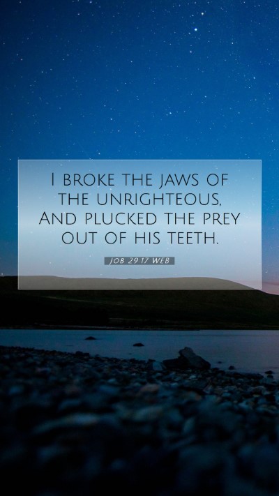 Picture 07 - Job 29:17 WEB Mobile Phone Wallpaper - I broke the jaws of the unrighteous, And plucked - Mobile Bible Verse Wallpaper