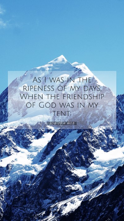 Picture 07 - Job 29:4 WEB Mobile Phone Wallpaper - As I was in the ripeness of my days, When the - Mobile Bible Verse Wallpaper