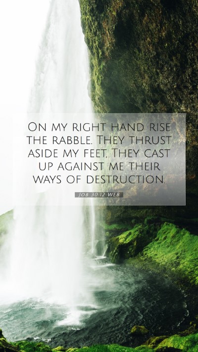 Picture 07 - Job 30:12 WEB Mobile Phone Wallpaper - On my right hand rise the rabble. They thrust - Mobile Bible Verse Wallpaper