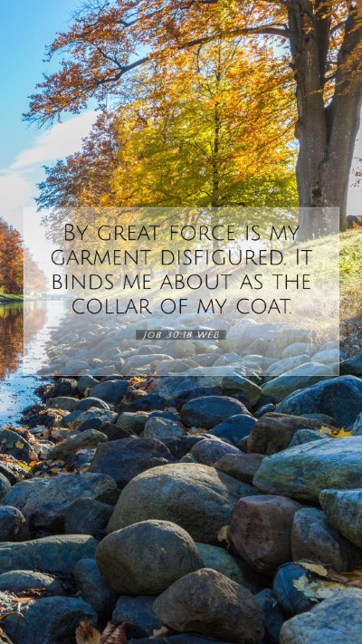 Picture 07 - Job 30:18 WEB Mobile Phone Wallpaper - By great force is my garment disfigured. It binds - Mobile Bible Verse Wallpaper