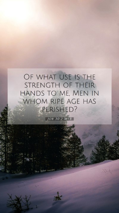 Picture 07 - Job 30:2 WEB Mobile Phone Wallpaper - Of what use is the strength of their hands to me, - Mobile Bible Verse Wallpaper