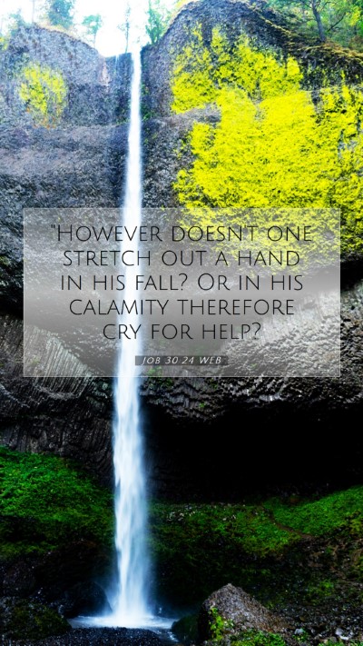 Picture 07 - Job 30:24 WEB Mobile Phone Wallpaper - 