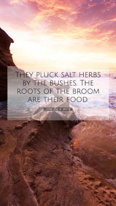 Picture 07 - Job 30:4 WEB Mobile Phone Wallpaper - They pluck salt herbs by the bushes. The roots of - Mobile Bible Verse Wallpaper