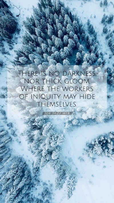 Picture 07 - Job 34:22 WEB Mobile Phone Wallpaper - There is no darkness, nor thick gloom, Where the - Mobile Bible Verse Wallpaper
