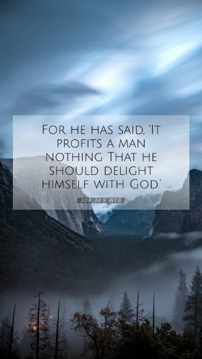 Picture 07 - Job 34:9 WEB Mobile Phone Wallpaper - For he has said, 'It profits a man nothing That - Mobile Bible Verse Wallpaper