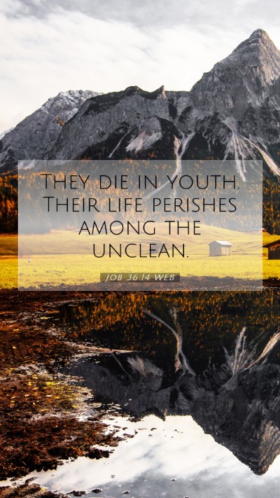 Picture 07 - Job 36:14 WEB Mobile Phone Wallpaper - They die in youth. Their life perishes among the - Mobile Bible Verse Wallpaper