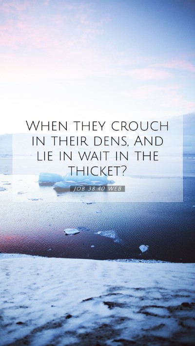 Picture 07 - Job 38:40 WEB Mobile Phone Wallpaper - When they crouch in their dens, And lie in wait - Mobile Bible Verse Wallpaper