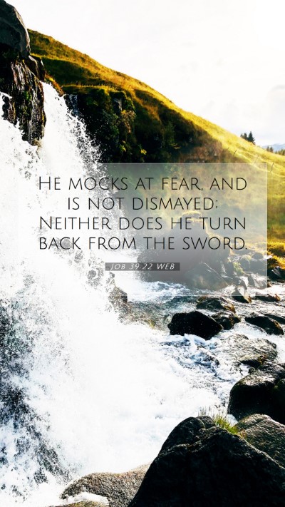 Picture 07 - Job 39:22 WEB Mobile Phone Wallpaper - He mocks at fear, and is not dismayed; Neither - Mobile Bible Verse Wallpaper